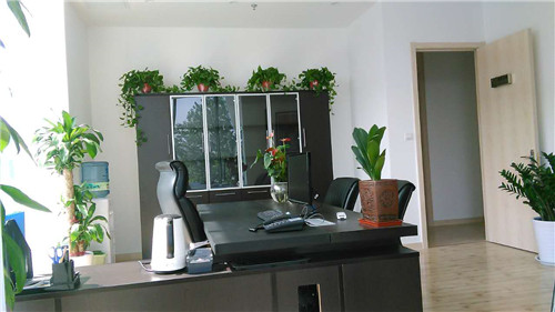 西安金鷹廣場(chǎng)綠植租擺