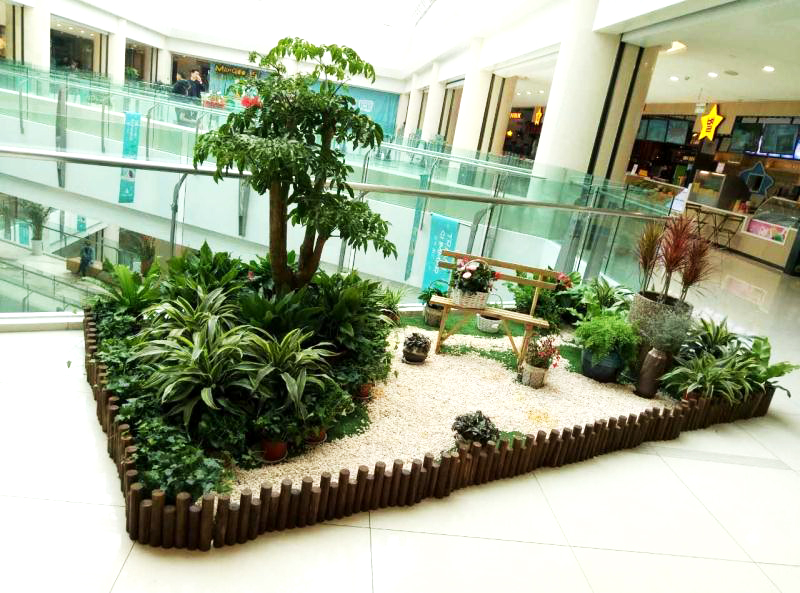 綠意盎然 | 綠植租擺，縱享生活品質!