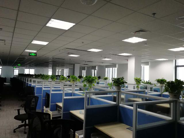 中國花卉租擺行業將進入大整合時代！