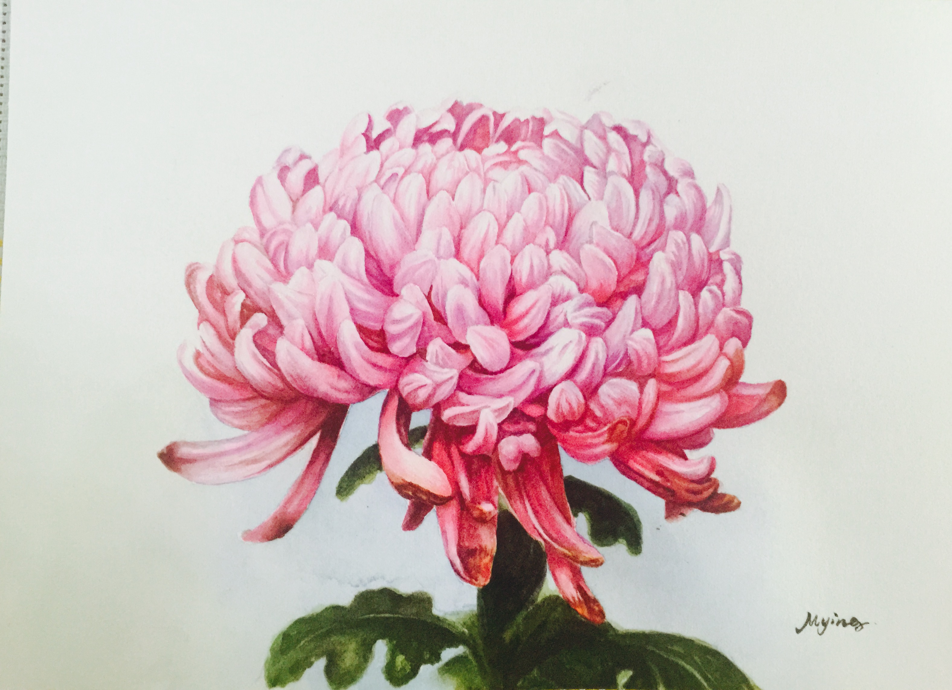 山東省蘭花協會換屆選舉