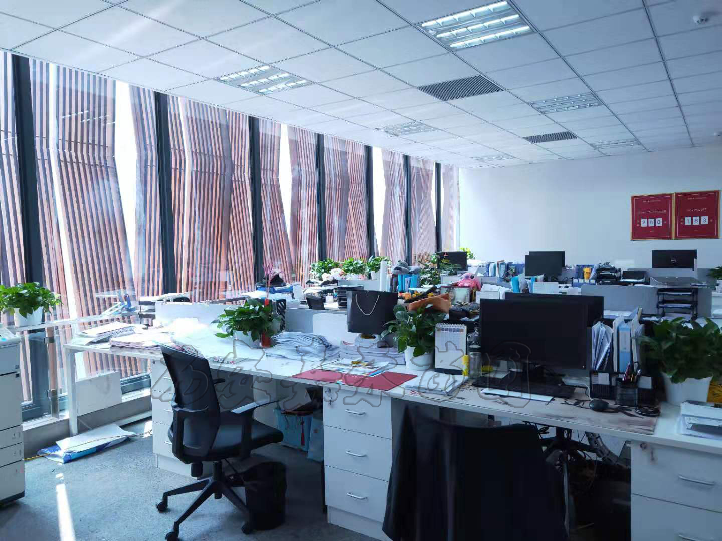 辦公室花卉租擺好處以及植物租賃的養植方法