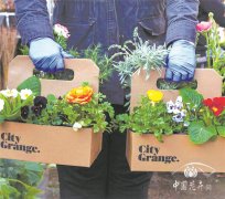 疫情后,美國園藝產業將呈現六大趨勢