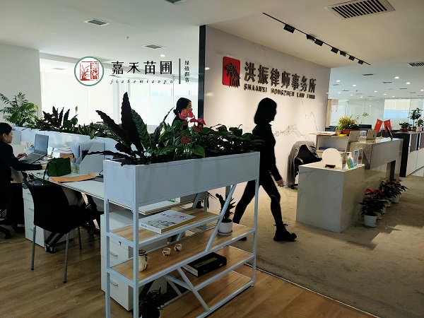 西安辦公室綠植租擺效果圖|西安嘉禾苗圃 西安辦公室綠植租擺效果圖|西安嘉禾苗圃