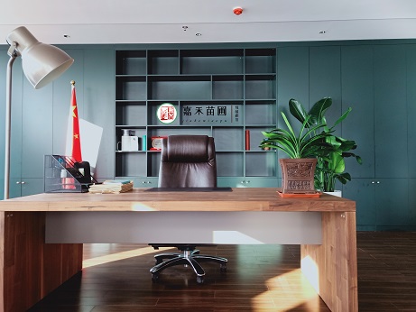 西安辦公室綠植租賃效果圖|西安嘉禾苗圃 西安辦公室綠植租賃效果圖|西安嘉禾苗圃