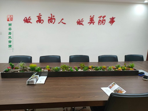 辦公室綠植租擺效果圖|西安嘉禾苗圃 辦公室綠植租擺效果圖|西安嘉禾苗圃