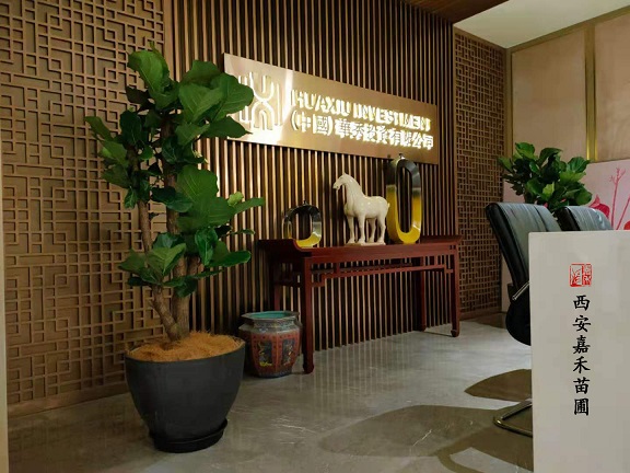 西安辦公室綠植租擺怎么放,才能凸顯大氣格調