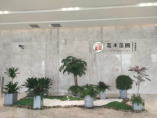 寫字樓花卉綠植租擺|西安嘉禾苗圃
