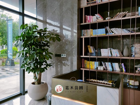 西安辦公室綠植盆栽租擺|西安嘉禾苗圃