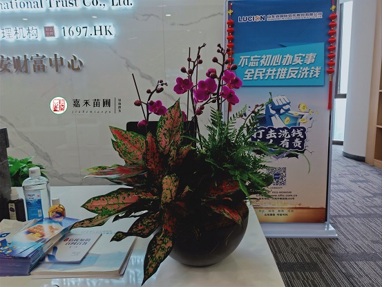 辦公室租賃綠植|西安嘉禾苗圃 辦公室租賃綠植|西安嘉禾苗圃