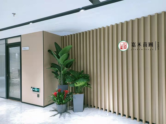 如何選擇辦公空間綠植租擺裝飾?