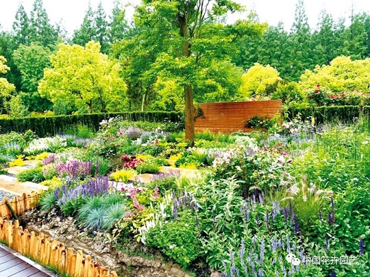 花境施工養(yǎng)護(hù)|西安嘉禾苗圃