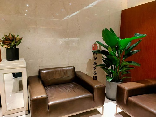 辦公室綠植租賃怎么擺放才能增加運(yùn)勢(shì)？