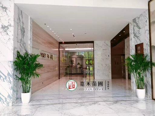 花卉綠植租賃公司提供的養(yǎng)護(hù)和維護(hù)服務(wù)是否包括植物的翻新和更換?