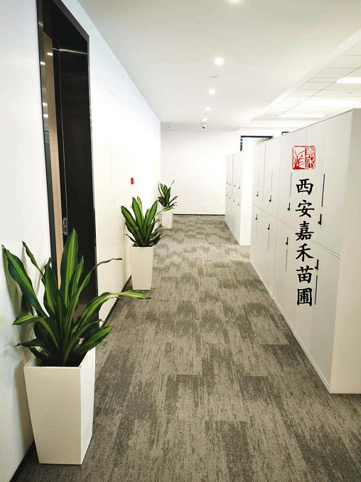 西安綠植租賃服務|西安嘉禾苗圃