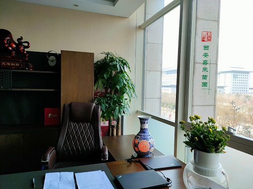 西安辦公室花卉租賃,激發員工積極性!