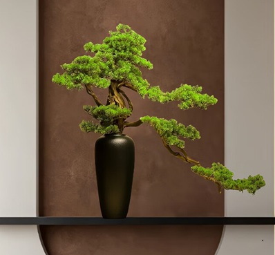 松樹盆景養(yǎng)護注意事項